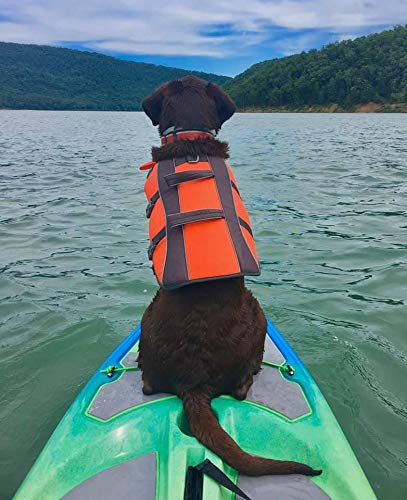 Hybrid Sit On Top Kayak SUP Stand Up Paddle Board for Adults